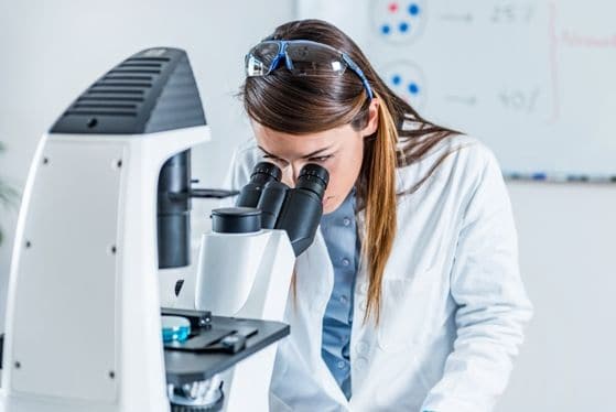 lab-service-2