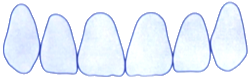 Choice 3